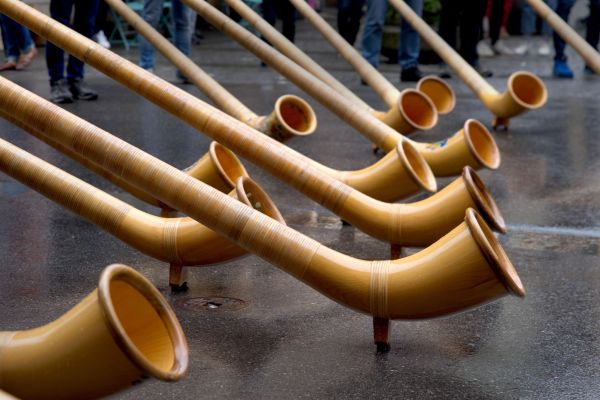 Infos zum Workshop Alphorn